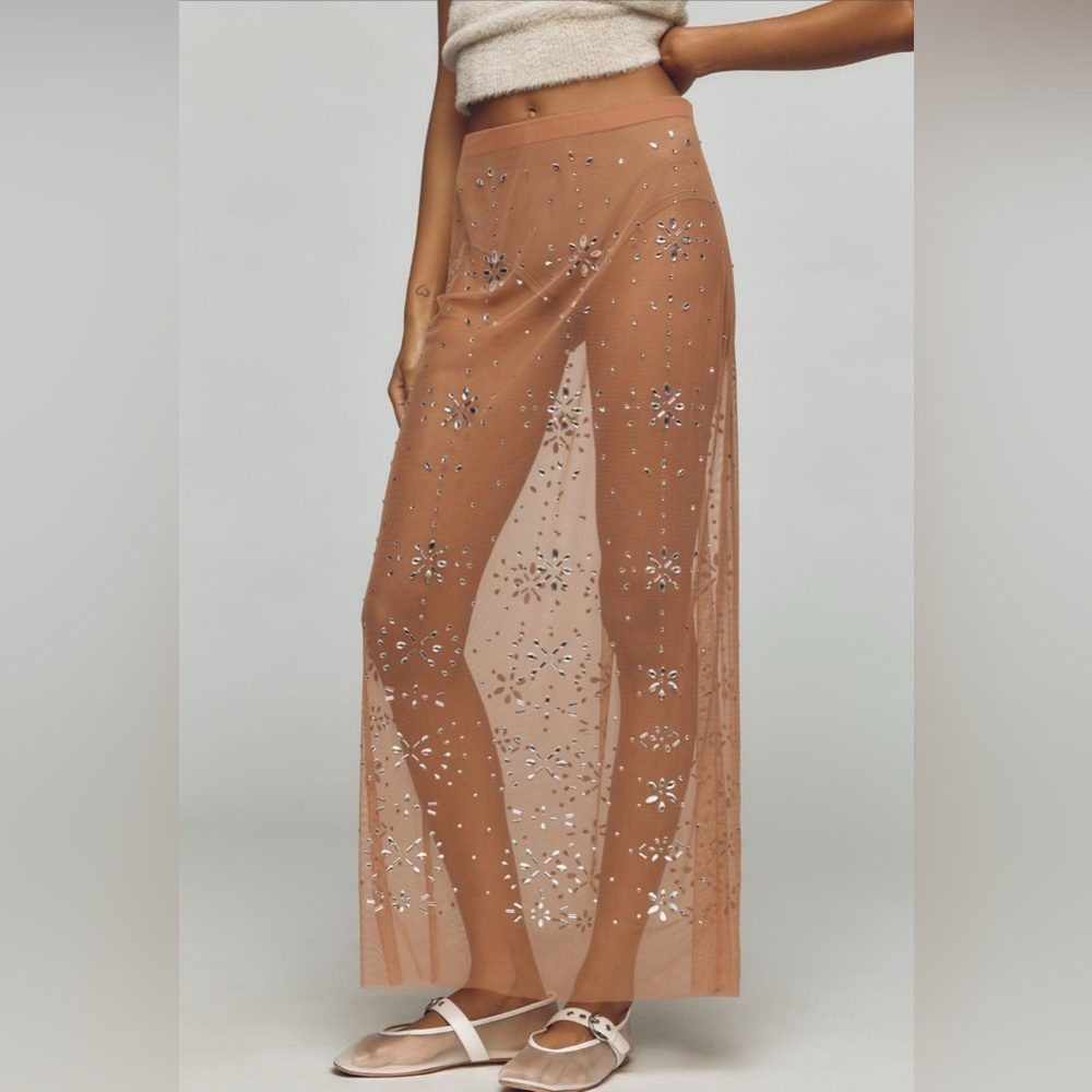 ANTHROPOLOGIE Crystal Sheer Maxi Skirt - Picture 4 of 12